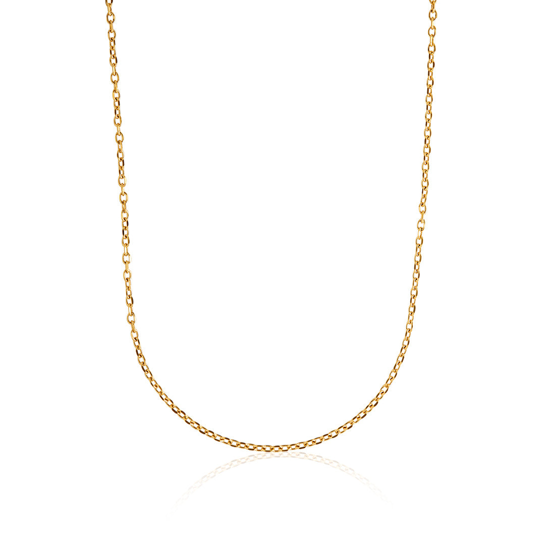 Collar Valentino 3mm (3)