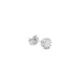 Arete Majestic Plata 925-1